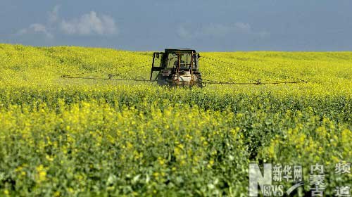 世界粮食日_人均占有粮食产量是(3)