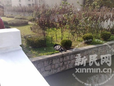 上海嘉定区一河道内发现男尸 已经被泡水肿(图