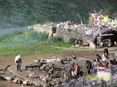 秃鹫的<em>尸体</em>盛宴 直贡梯寺<em>天葬</em>台(图)_<em>天葬</em> <em>尸体</em>