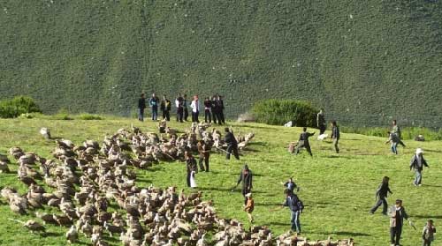 秃鹫的<em>尸体</em>盛宴 直贡梯寺<em>天葬</em>台(图)_<em>天葬</em> <em>尸体</em>