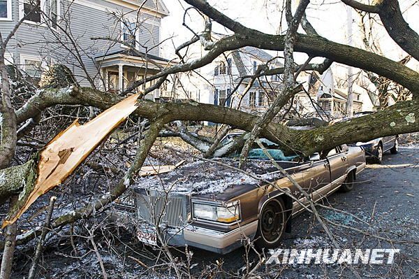 12月13日,在美国马萨诸塞州伍斯特市,一辆汽车被在冰风暴中倒下的