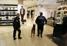 巴黎知名商场内发现多个可疑爆炸物