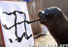海狮献“丑”迎新年[组图] 
