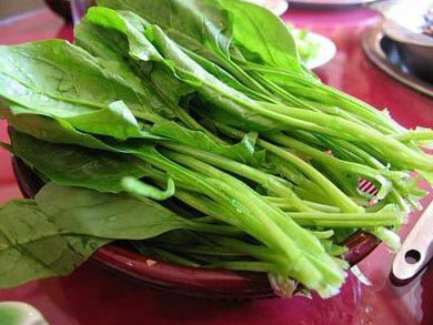 菠菜防止出现皱纹