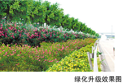 而是园林水景;路边裸露的黄土将被绿地花园取代,绿化带宽的道路还将