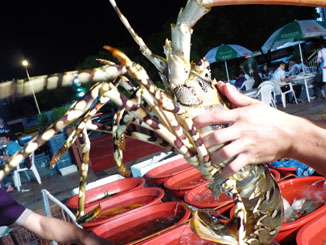 ���ϴ����ʳ�㳡