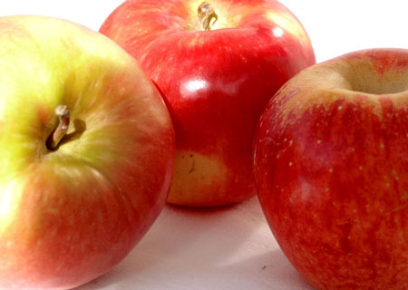 ����ЩŮ��Ѹ�����°���