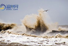 ��ͼ����Ī����Ӱ�� ��ͷ�����������