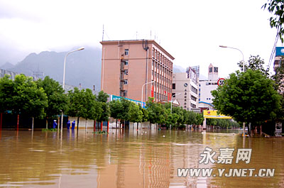 组图:10日 永嘉县城上塘镇成泽国