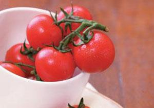 ʢ�ģ���������˽��