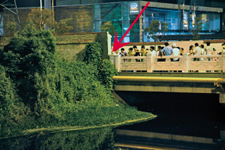 �������һ���⳵˾������ 