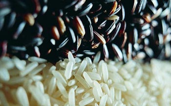 五种米助您享瘦生活