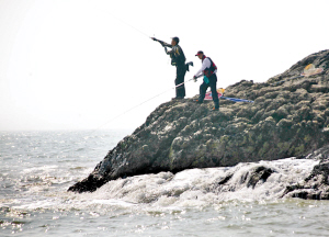 关于温州海洋经济海洋环境保护的研究生毕业论文开题报告范文