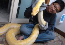 ���׻ƽ������ɳ�����