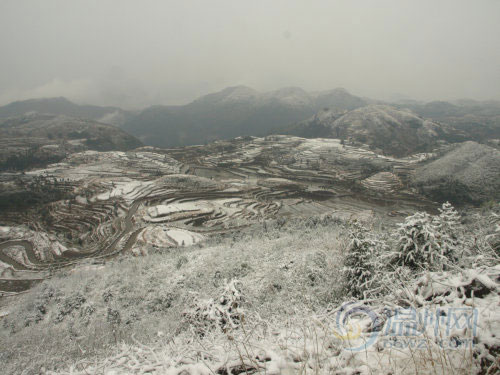 组图:永嘉迎来今年首场大雪 茗岙雪景分外漂亮