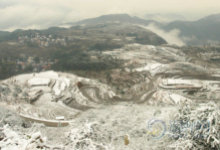 ��ͼ:����ӭ�������׳���ѩ