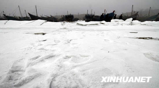 组图:渤海湾遭遇30年来最严重海冰灾害