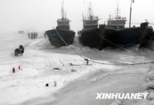 渤海湾遭遇30年来最严重海冰灾害
