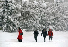 新疆北部出现60年一遇暴雪