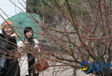 ��ͼ�����ڵ�������÷ȥ