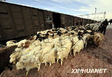 �½��״ζ��û�Ϊ����ת��