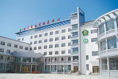 冰点特稿:精神病院里的知青科(组图)