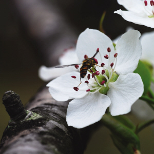 气象万千跻鹿岩-温州日报