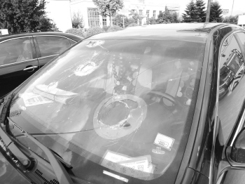 网友:温州会不会也下冰雹? 可能性不大