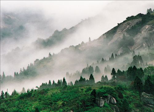 大罗山,大罗山 - 温州网
