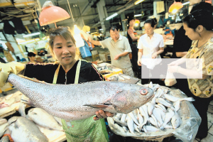 两天,鮸鱼价格约下降了一半,一条5公斤重的大鮸鱼每公斤价格32元~36元