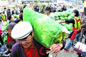 危机 泡菜 韩国 涨价 震动