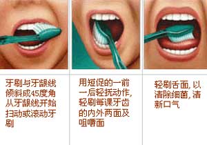 怎么刷牙牙齿最白 1165444_462385.jpg