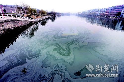湖北襄阳护城河水面出现大片不明油污组图