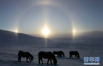 内蒙古坝上草原出现日晕奇观