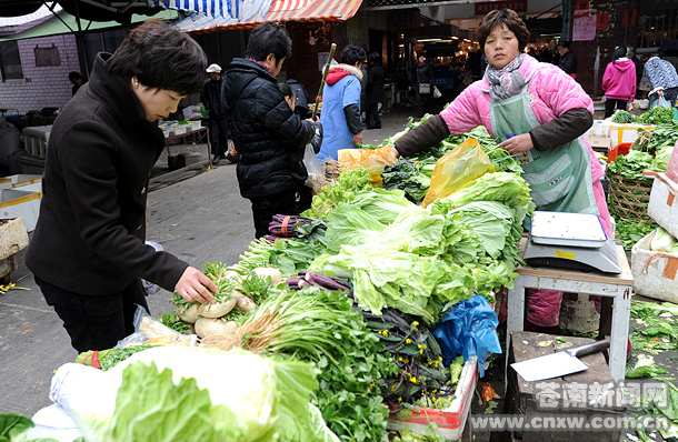 苍南:蔬菜销量上升_苍南 蔬菜_县市新闻