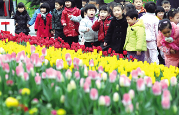 马鞍池公园:又到郁金香花开时