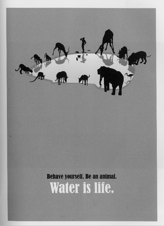 水是生命国际大学生海报比赛杭州美眉拿了铜奖