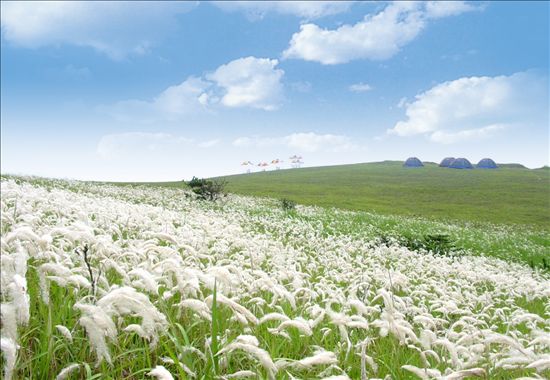 洞头竹屿景区