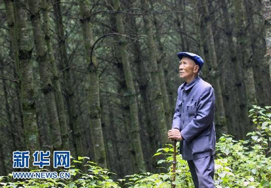 杨善洲<em>女儿</em>深情忆慈父:爸爸是我心中的一棵大