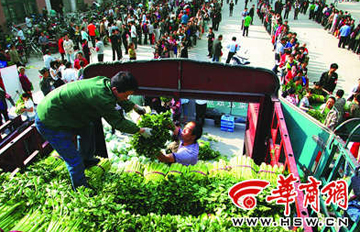 西安“爱心菜”开始免费发放