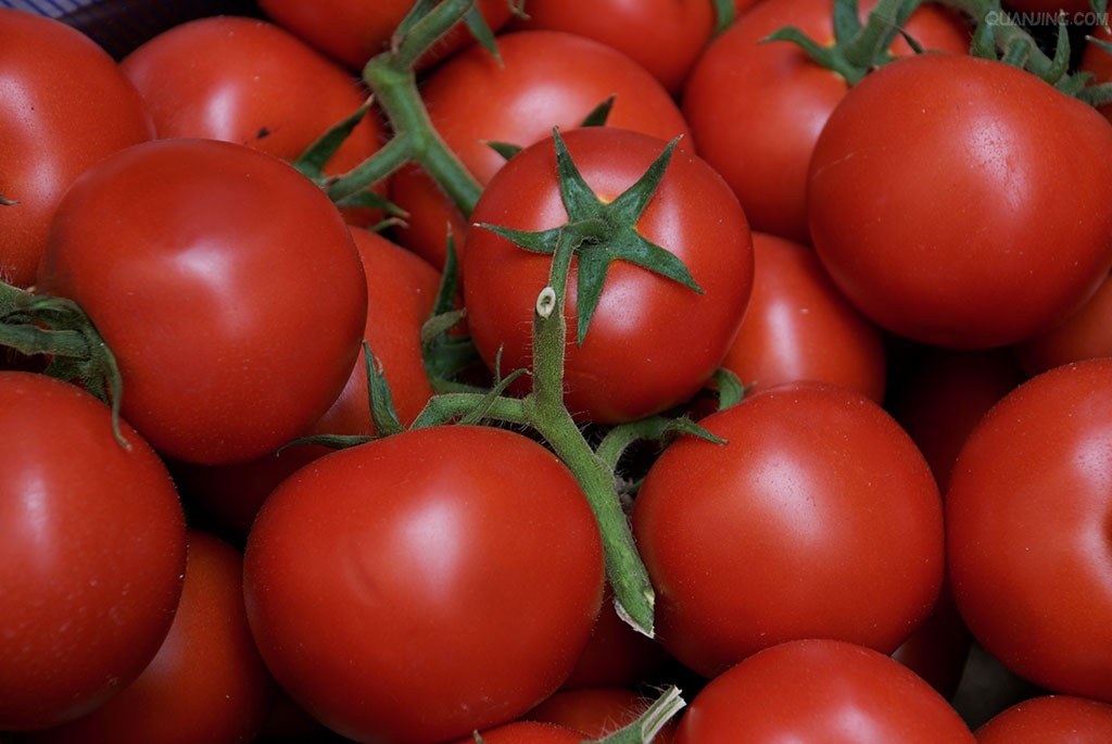 防晒美白吃出来 西红柿是最佳食物防晒霜_