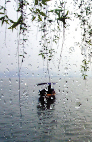 雨中图片