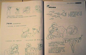 小学生性教材惹争议