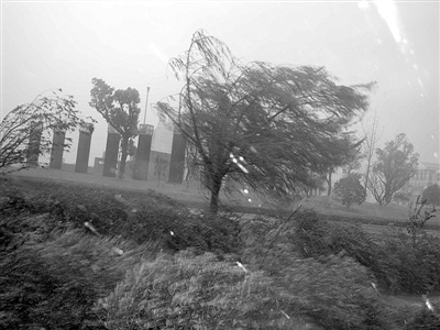 梅花 之后仍有热带气旋 媒体解析台风预报难度