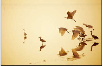 ��Ů��Ӱ����Ʒչʾ