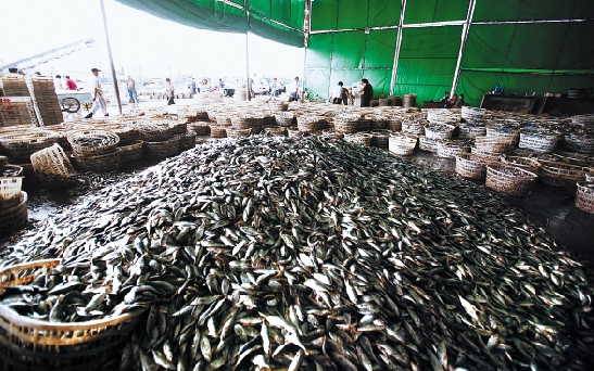 温州海鲜交易市场_海鲜市场_塘沽海鲜市场