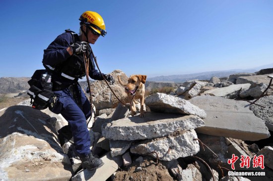 洛杉矶举行大规模防震演习(高清图)_洛杉矶 大地震 7.8 中新社 加利福尼_滚动新闻_温州网