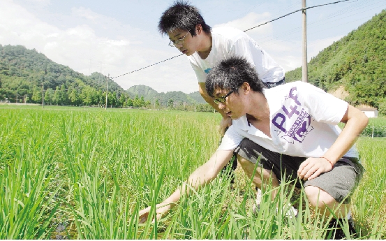 跳回农门 田野逐梦--农林大学残疾毕业生包洪