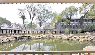 城市新公园探访记：五大公园各展千秋绿染城