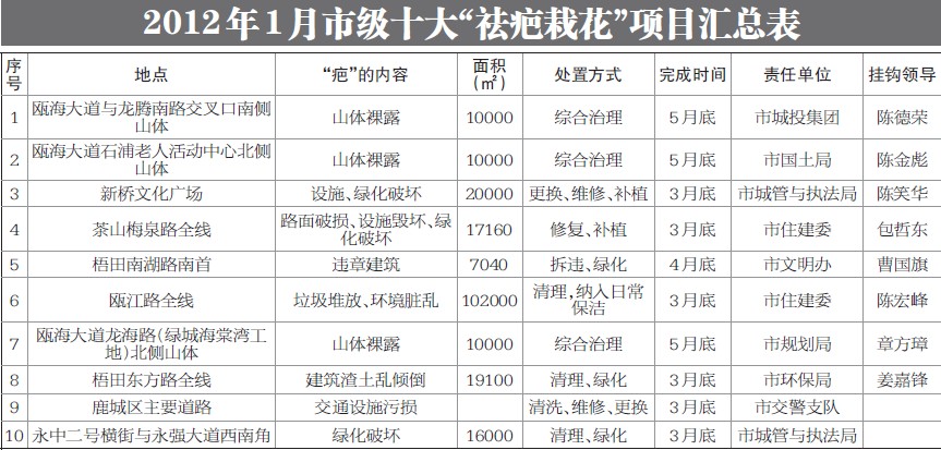 1月祛疤栽花十大项目 市四套班子领导挂钩督导